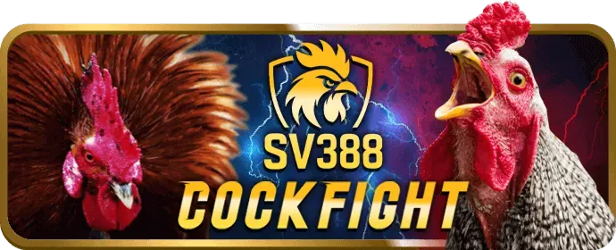 Chương trình VIP độc quyền của okkinh win